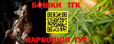 гидра Гагарин