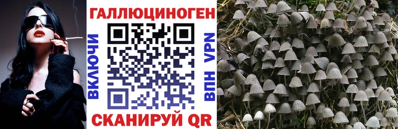 omg tor  Зеленодольск  Псилоцибиновые грибы прущие грибы 