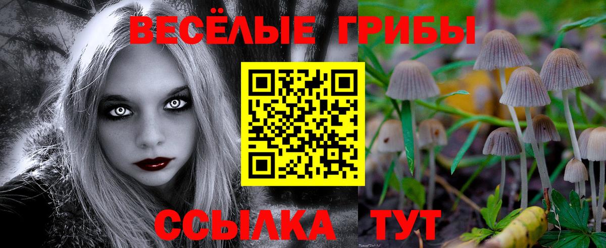 Зеленодольск  Галлюциногенные грибы мицелий  Вход с VPN  цена наркотик  Псилоцибиновые грибы Magic Shrooms 